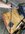 IMG_3377.jpeg