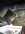 IMG_3376.jpeg