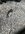 IMG_2422.jpeg IMG_2422.jpeg