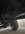 IMG_2428.jpeg