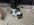 IMG_2429.jpeg