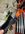 IMG_1337.jpeg
