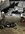 IMG_1338.jpeg