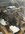 IMG_7076.jpeg