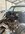 IMG_7078.jpeg