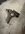 IMG_7374.jpeg