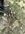 IMG_7339.jpeg
