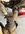 IMG_7284.jpeg