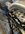 IMG_0231.jpeg