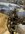 IMG_0230.jpeg