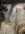IMG_0244.jpeg
