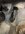 IMG_0245.jpeg