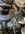 IMG_0246.jpeg