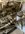 IMG_0247.jpeg