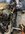 IMG_0251.jpeg