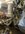 IMG_0253.jpeg