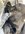 IMG_2574.jpeg