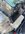 IMG_2575.jpeg