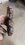IMG_20250628_124748212_MP.jpg