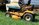 IMG_20250629_151116843_HDR~3.jpg