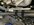 IMG_0283.jpeg