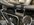 IMG_0284.jpeg