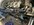 IMG_0282.jpeg