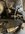 IMG_0303.jpeg