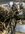 IMG_0301.jpeg
