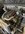 IMG_0298.jpeg