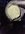 IMG_2613.jpeg