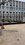 IMG_7595.jpeg