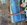 IMG_6122.jpeg
