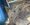 IMG_6123.jpeg