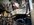 IMG_4520.jpeg