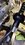 IMG_0156.jpeg