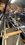 IMG_0154.jpeg