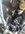 IMG_4527.jpeg