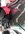 IMG_4526.jpeg