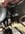 IMG_4530.jpeg