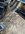 IMG_6129.jpeg
