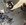 IMG_6130.jpeg
