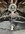 IMG_2187.jpeg
