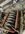 IMG_0320.jpeg