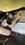 IMG_7655.jpeg