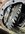 IMG_7516.jpeg