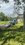IMG_7660.jpeg