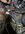 IMG_4607.jpeg