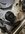 IMG_4605.jpeg