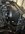 IMG_4608.jpeg